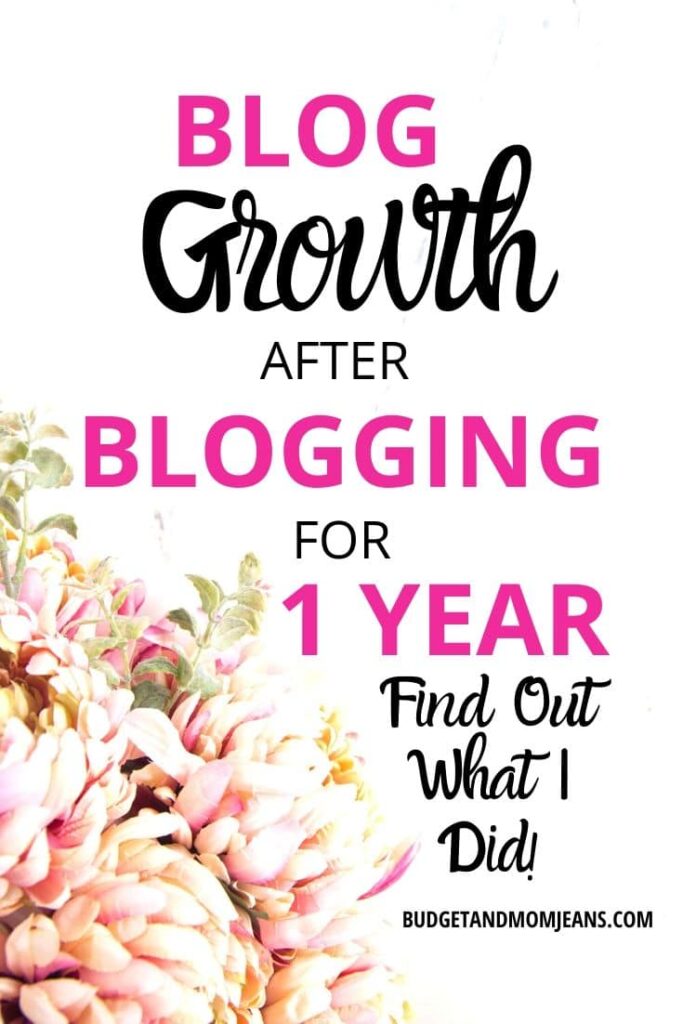 Blog Growth After Blogging For 1 Year