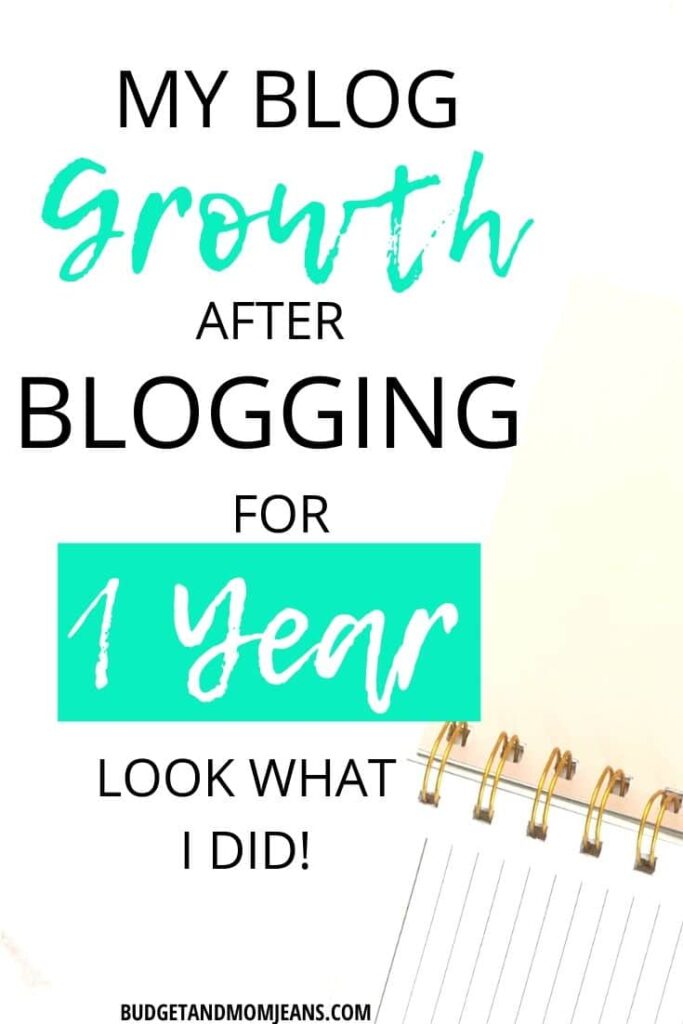 Blog Growth After Blogging For 1 Year