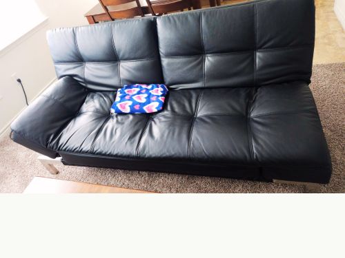 Futon from Facebook Marketplace to furnish my apartment for cheap